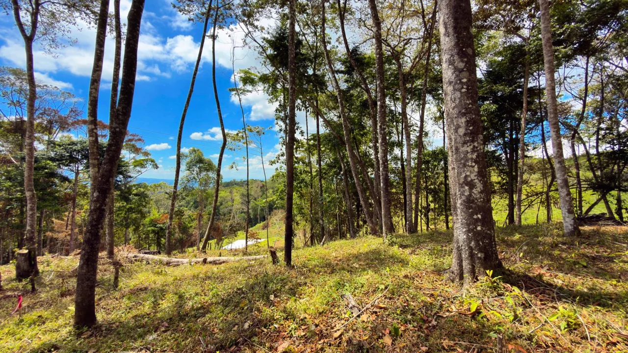 For Sale: Beautiful Mountain 781m2 Residential Lot in Quebradas - CR, photo 8