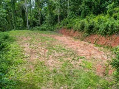 Caracara Ridge — Lote n.º 15: Un refugio privado en la selva rodeado de naturaleza