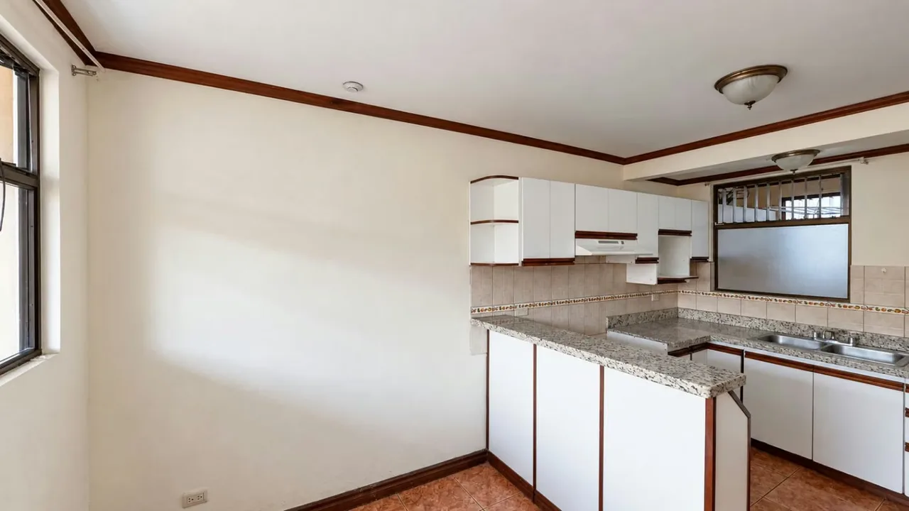Spacious 3-Bedroom Apartment for Rent in San Pedro, Montes de Oca, photo 8
