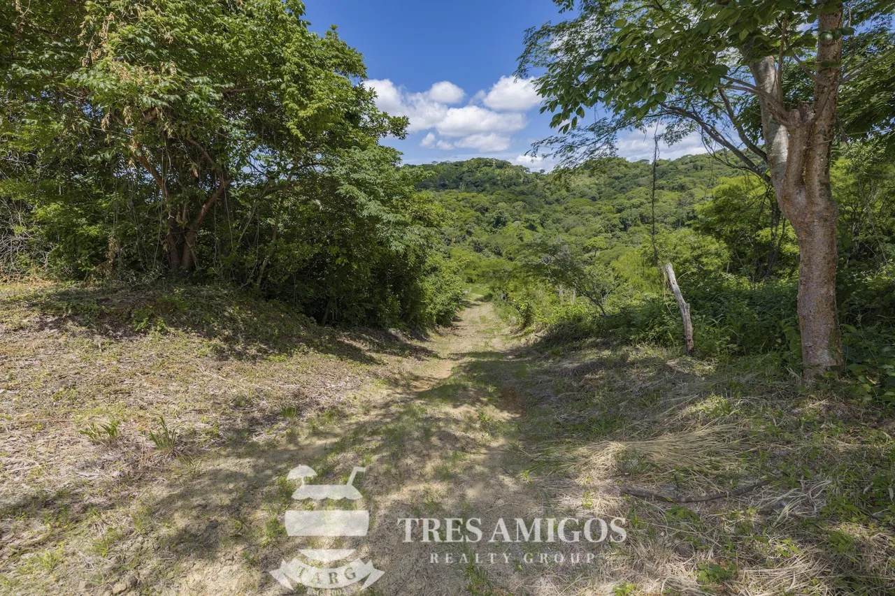 LADERA DEL MAR LOT 24 Ranchitos Ridge, photo 4