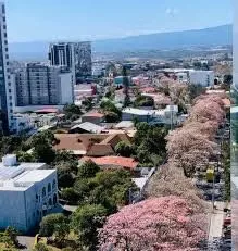 Lot for sale in Rohrmoser, La Favorita, San José, photo 8