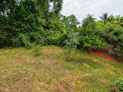 BUILDING PROPERTY WITH MOUNTAIN VIEWS A STEPS OF OJOCHAL – 2.64 ACRES, photo 24