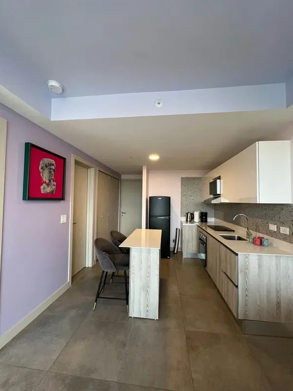 APARTMENT FOR SALE IN SABANA, photo 8