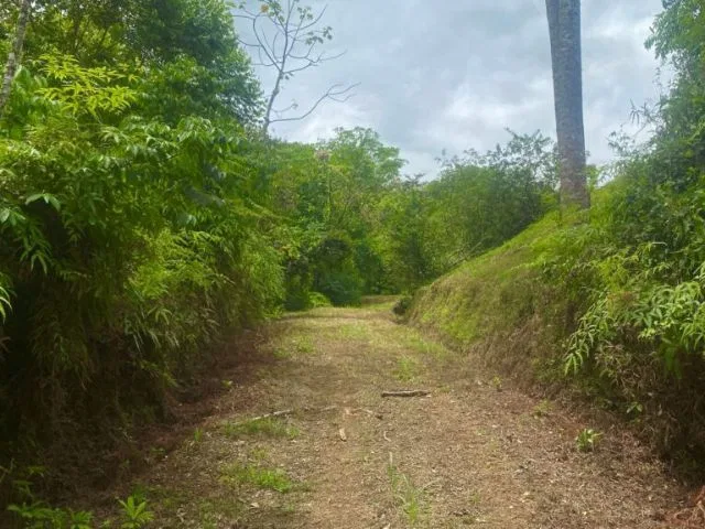 Reserva Tres Rios, photo 8