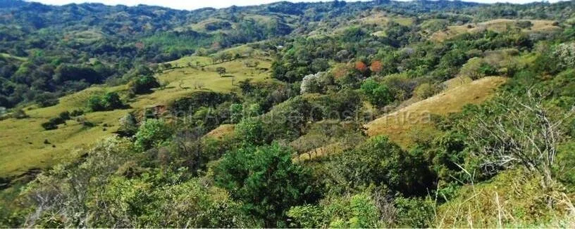 Venta de Lote en Desamparaditos de Puriscal. RAH 27-397 - Venta en Puriscal