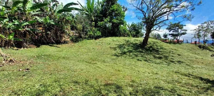 Venta de Lote en Desamparaditos de Puriscal. RAH 27-397 - Venta en Puriscal, photo 11