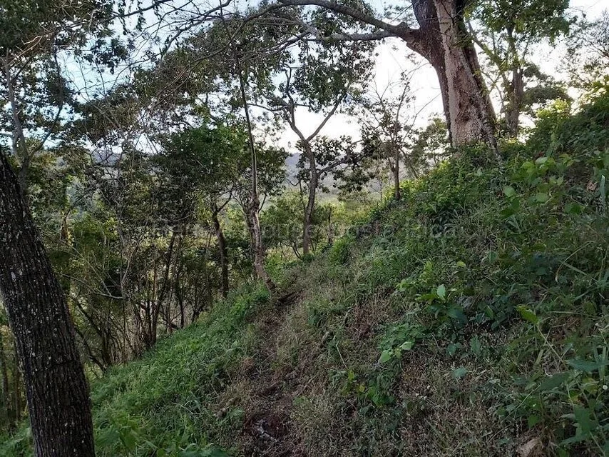 Venta de Lote en Desamparaditos de Puriscal. RAH 27-397 - Venta en Puriscal