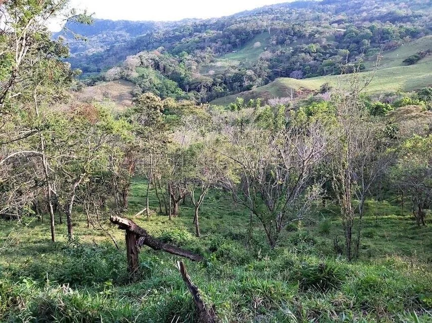 Venta de Lote en Desamparaditos de Puriscal. RAH 27-397 - Venta en Puriscal, photo 4