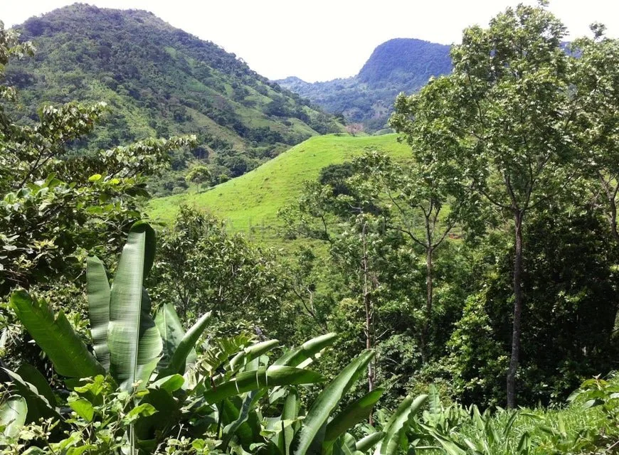 Venta de Lote en Desamparaditos de Puriscal. RAH 27-397 - Venta en Puriscal, photo 5