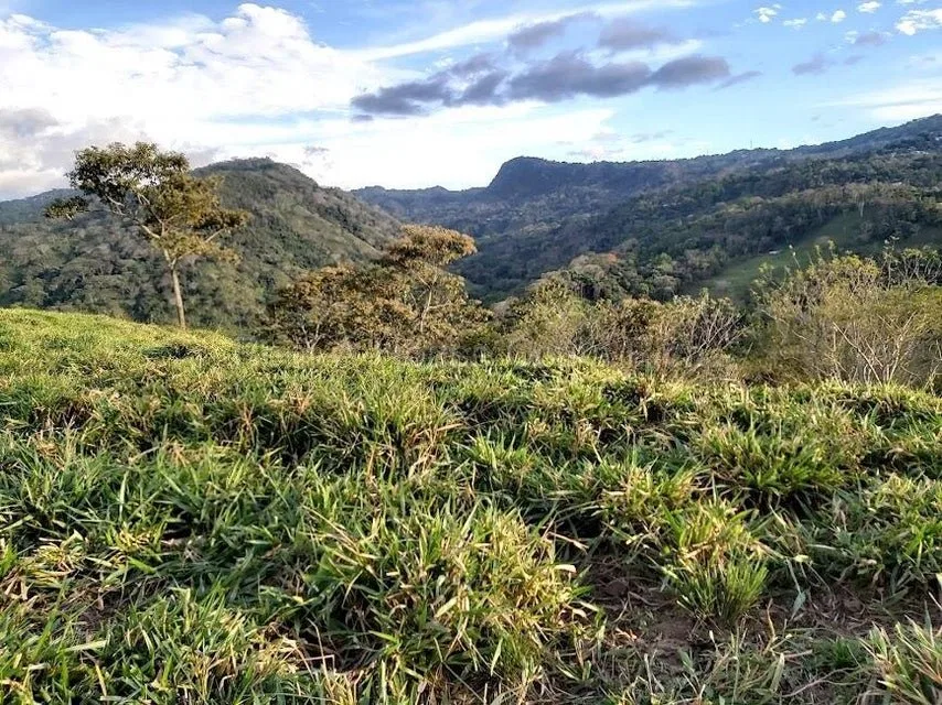 Venta de Lote en Desamparaditos de Puriscal. RAH 27-397 - Venta en Puriscal, photo 7