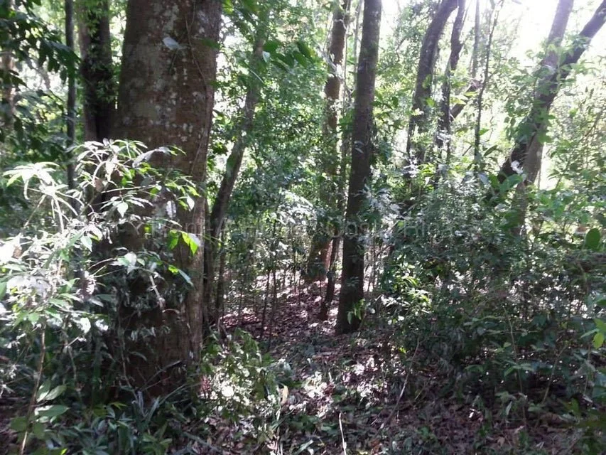 Venta de Lote en Desamparaditos de Puriscal. RAH 27-397 - Venta en Puriscal, photo 9