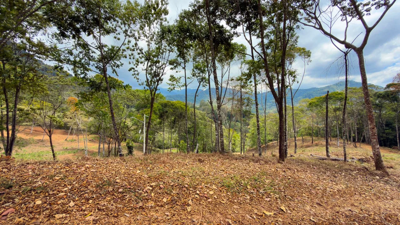 For Sale: Beautiful Mountain 1646m2 Residential Lot in Quebradas - CR, photo 11