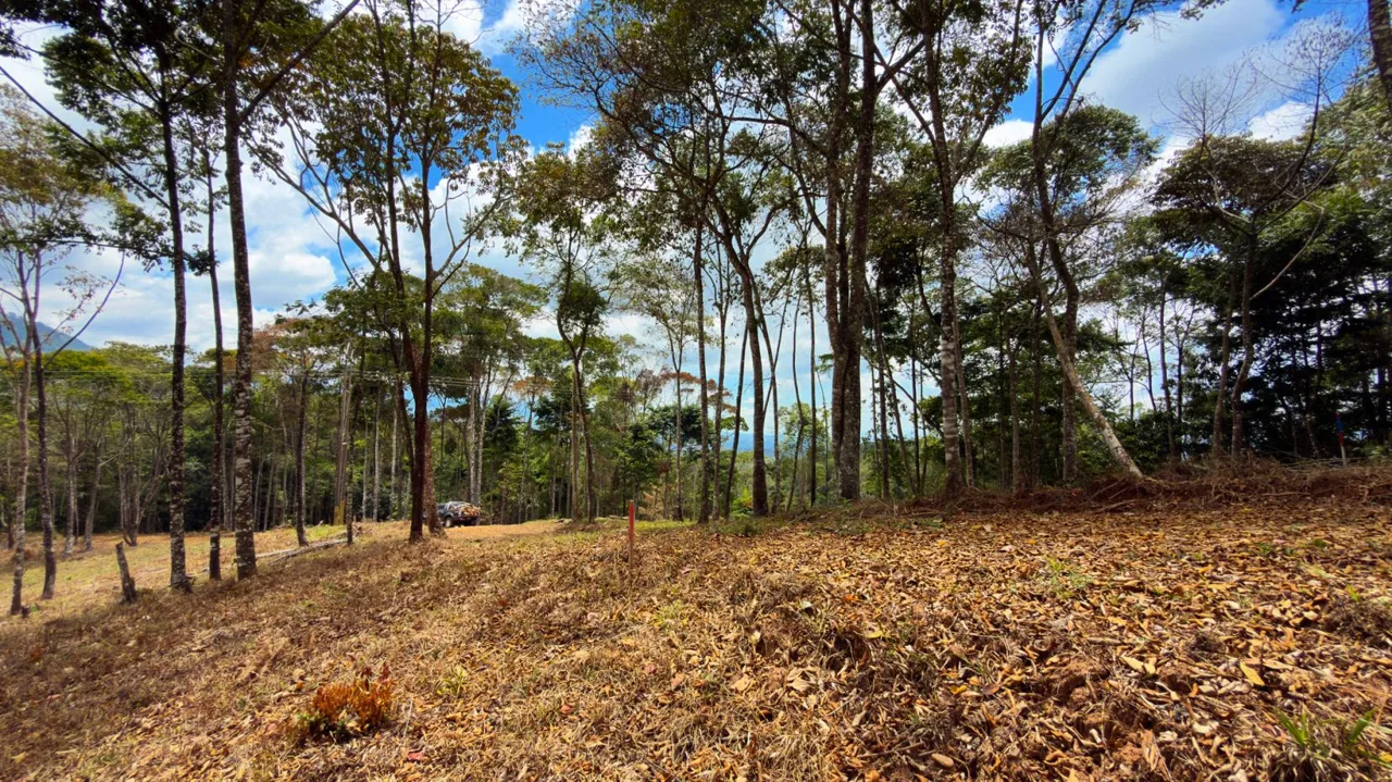For Sale: Beautiful Mountain 1646m2 Residential Lot in Quebradas - CR, photo 12