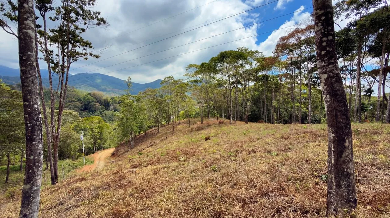 For Sale: Beautiful Mountain 1646m2 Residential Lot in Quebradas - CR, photo 13