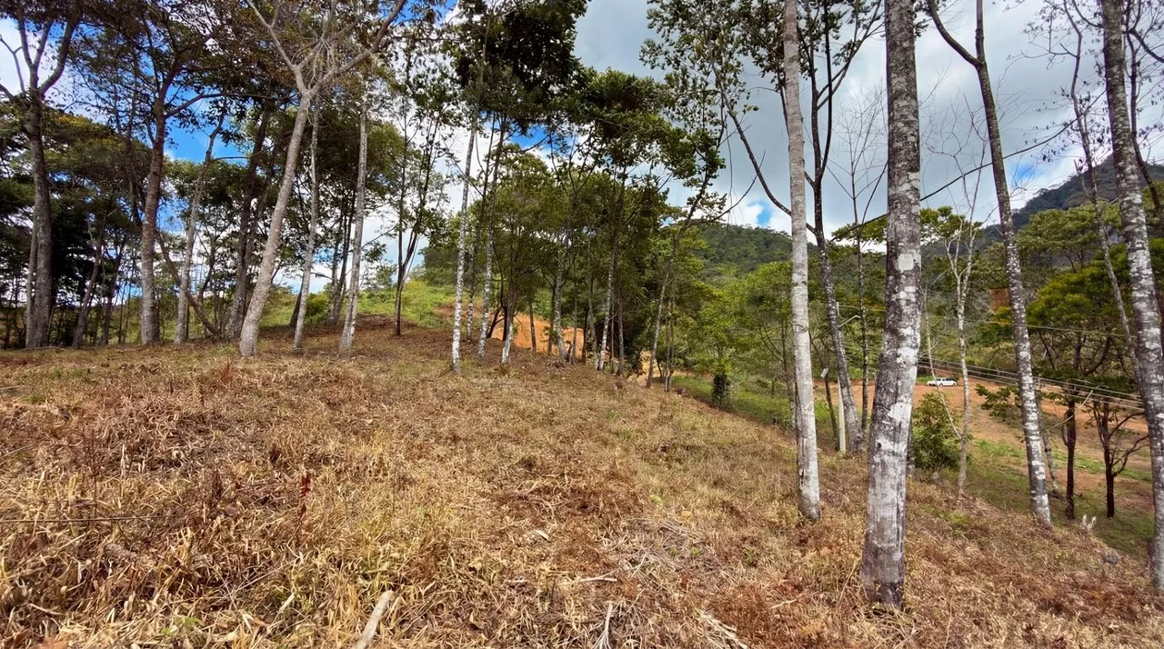 For Sale: Beautiful Mountain 1646m2 Residential Lot in Quebradas - CR, photo 14