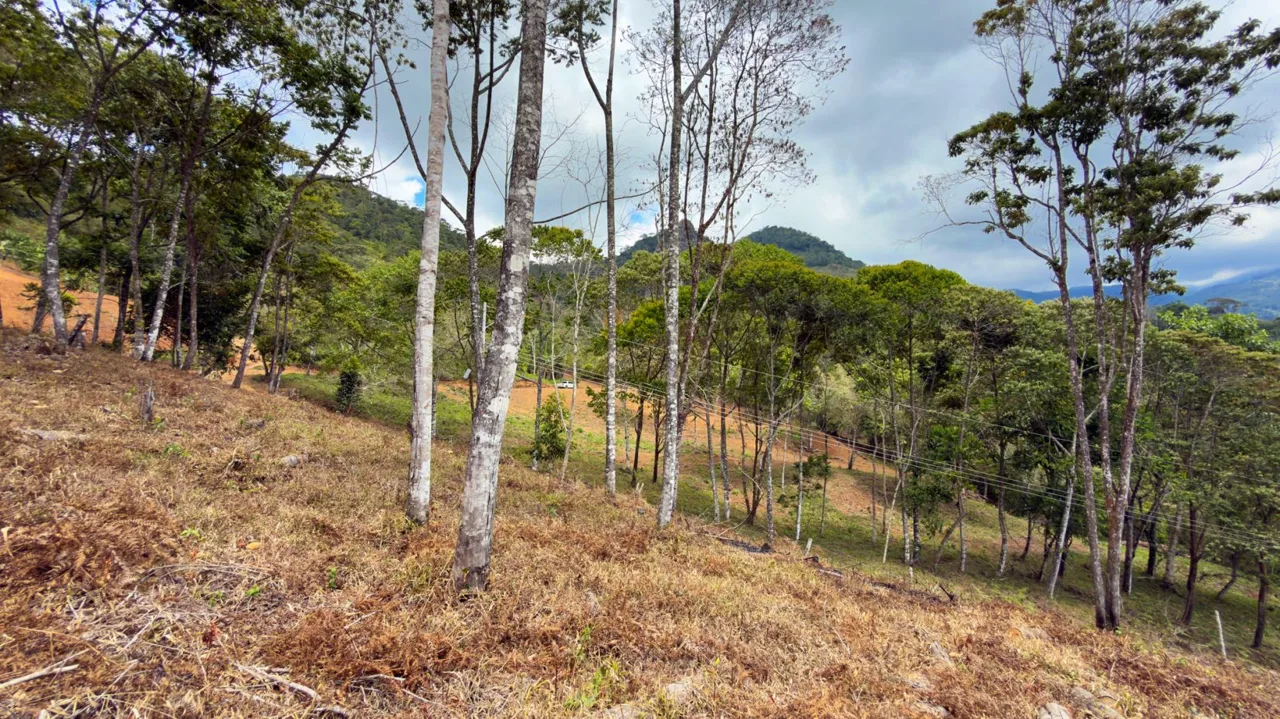 For Sale: Beautiful Mountain 1646m2 Residential Lot in Quebradas - CR, photo 15