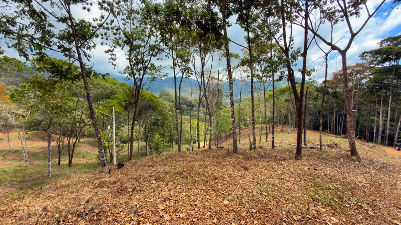 For Sale: Beautiful Mountain 1646m2 Residential Lot in Quebradas - CR, photo 6