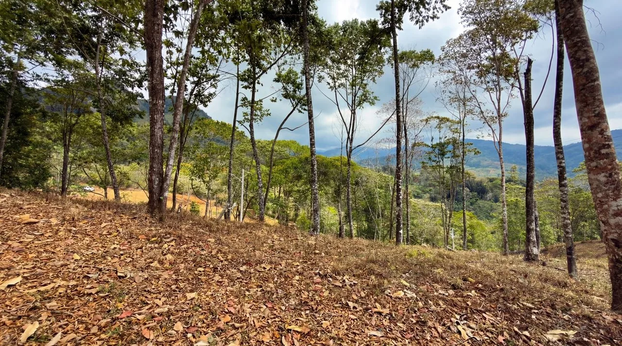 For Sale: Beautiful Mountain 1646m2 Residential Lot in Quebradas - CR, photo 7