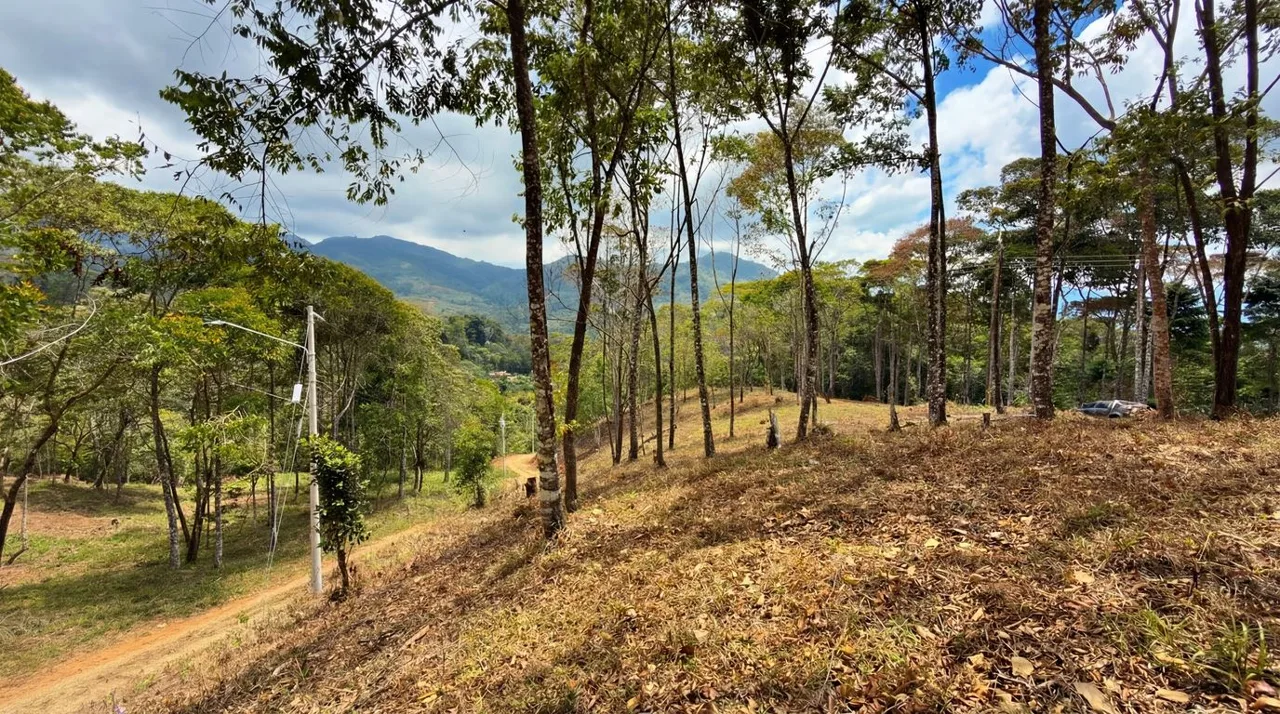 For Sale: Beautiful Mountain 1646m2 Residential Lot in Quebradas - CR, photo 8