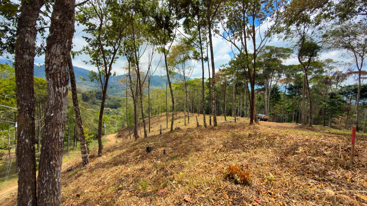 For Sale: Beautiful Mountain 1646m2 Residential Lot in Quebradas - CR, photo 9