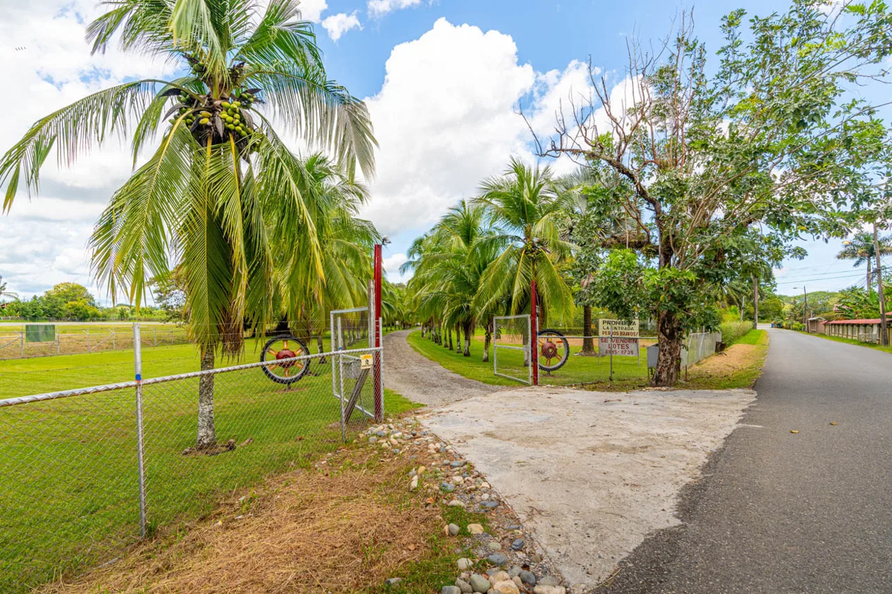 POTENTIAL COMMERCIAL PROPERTY WITH MULTIPLE HOMES NEXT TO AIRPORT IN PALMAR SUR, photo 3