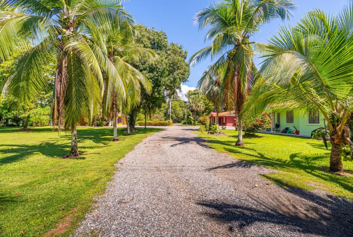 POTENTIAL COMMERCIAL PROPERTY WITH MULTIPLE HOMES NEXT TO AIRPORT IN PALMAR SUR, photo 6