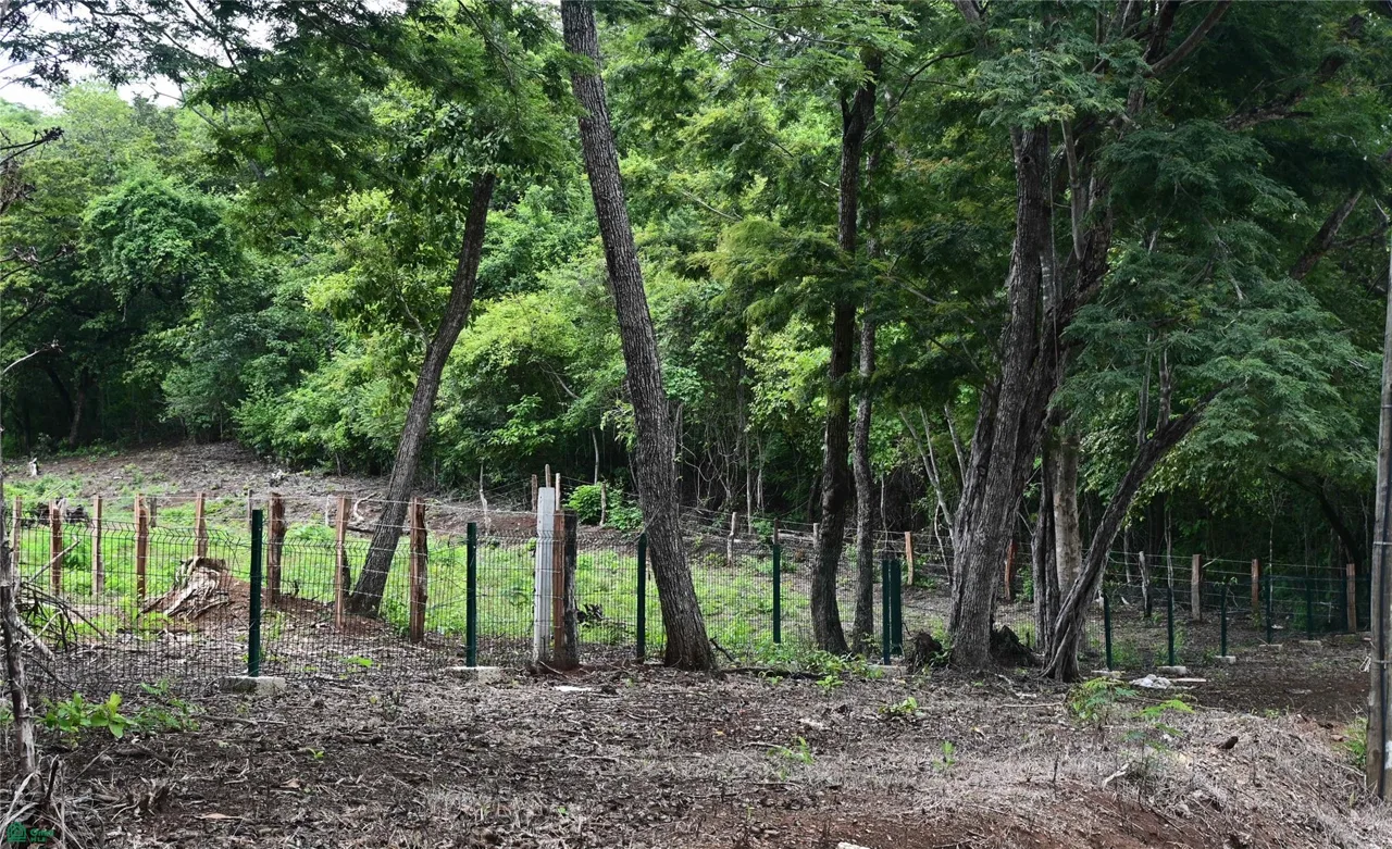 Multi Use Lot In Playa Grande Cabo Velas Guanacaste, photo 3