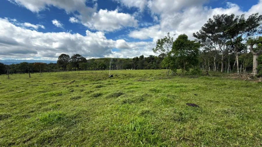 FINCA EN VENTA EN PARAÍSO DE CAJÓN – PLANA, PRODUCTIVA Y LISTA PARA DESARROLLAR - Venta en Perez Zeledón, photo 9