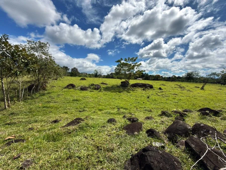 FINCA EN VENTA EN PARAÍSO DE CAJÓN – PLANA, PRODUCTIVA Y LISTA PARA DESARROLLAR - Venta en Perez Zeledón, photo 10