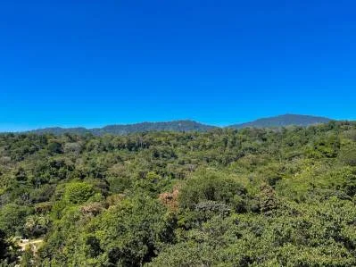 Terreno con vista a la montaña y 3 lotes para construir en Uvita, photo 5
