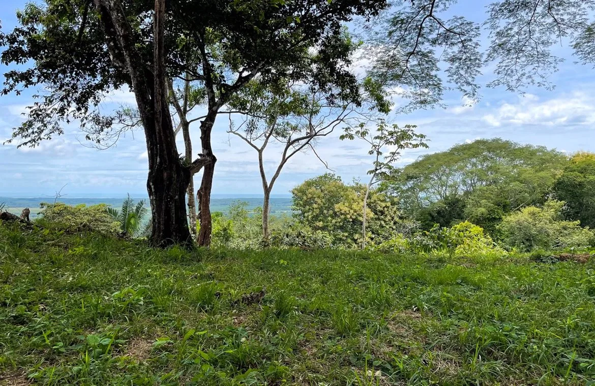 SERENE 5.5-ACRE ESTATE WITH BREATHTAKING VIEWS IN “THE SANCTUARY”, photo 2