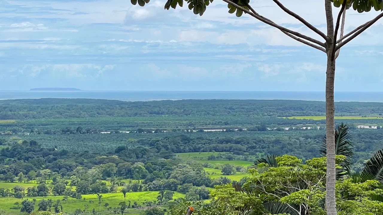 SERENE 5.5-ACRE ESTATE WITH BREATHTAKING VIEWS IN “THE SANCTUARY”, photo 15