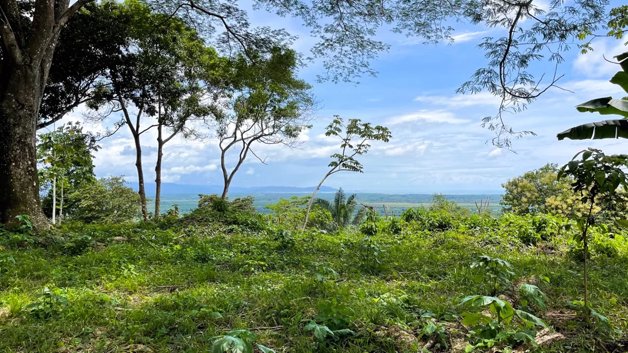 SERENE 5.5-ACRE ESTATE WITH BREATHTAKING VIEWS IN “THE SANCTUARY”, photo 3