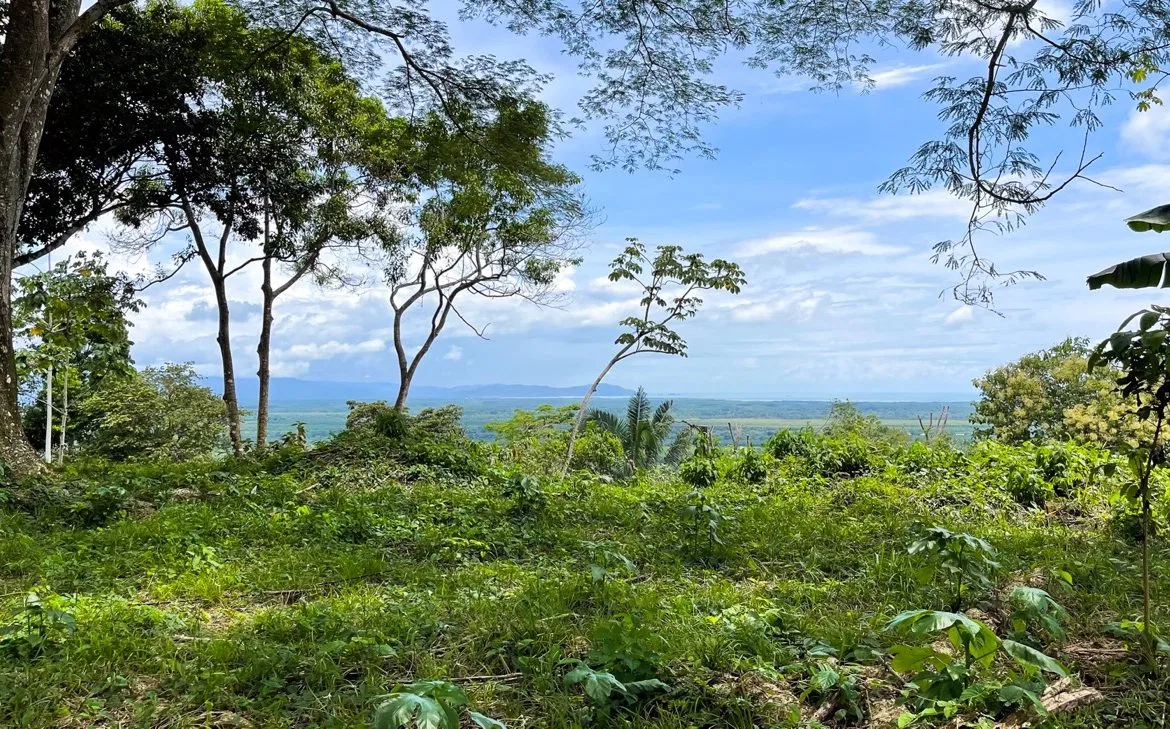 SERENE 5.5-ACRE ESTATE WITH BREATHTAKING VIEWS IN “THE SANCTUARY”, photo 4