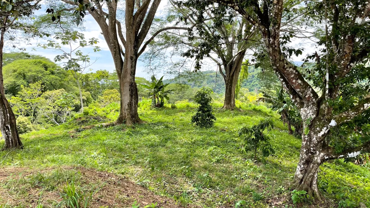 SERENE 5.5-ACRE ESTATE WITH BREATHTAKING VIEWS IN “THE SANCTUARY”, photo 9