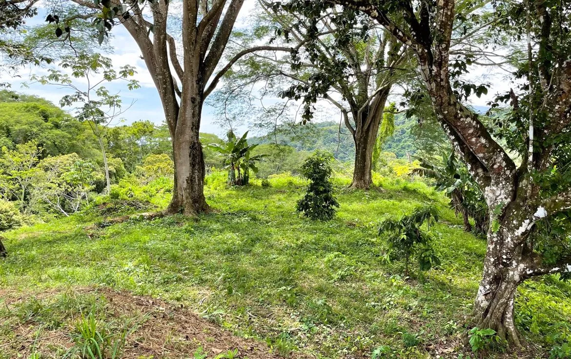 SERENE 5.5-ACRE ESTATE WITH BREATHTAKING VIEWS IN “THE SANCTUARY”, photo 10