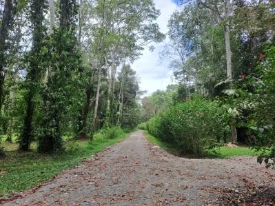Propiedad en la Jungla con Infraestructura -12.661 m², photo 2