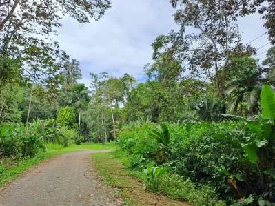 Propiedad en la Jungla con Infraestructura -12.661 m², photo 5