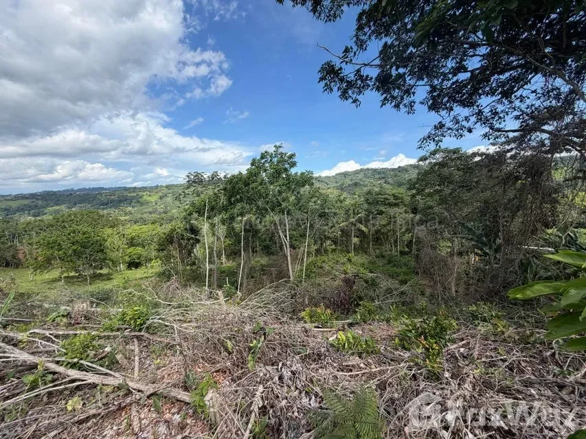 Land for Sale at SAN JOSE for $67,000