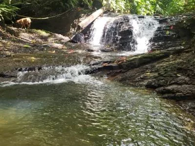Raro desarrollo con vista al mar o propiedad en Uvita – ¡Con cascada!, photo 2