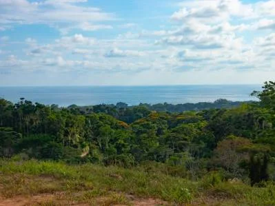 Raro desarrollo con vista al mar o propiedad en Uvita – ¡Con cascada!, photo 3