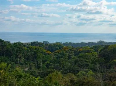Raro desarrollo con vista al mar o propiedad en Uvita – ¡Con cascada!, photo 7