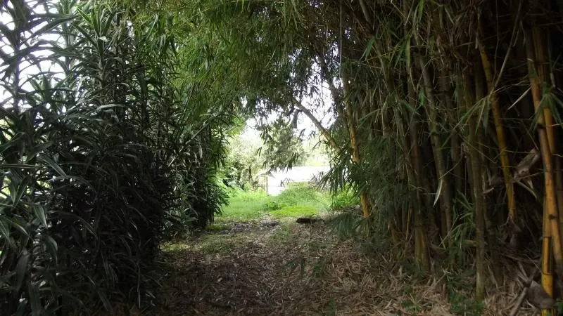 Land for sale inSan Rafael, Montes de Oca 13296, photo 3