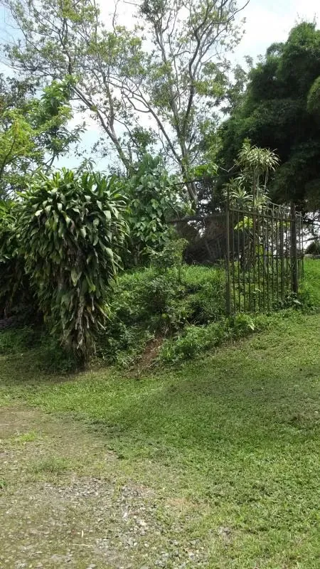 Land for sale inSan Rafael, Montes de Oca 13296, photo 5