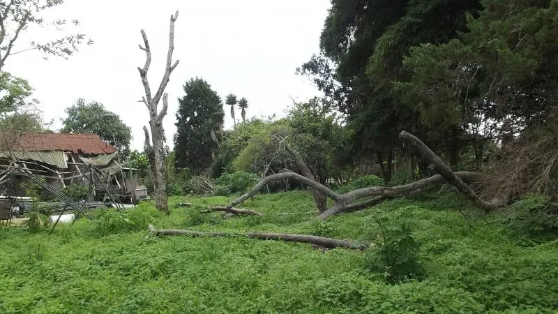 Land for sale inSan Rafael, Montes de Oca 13296, photo 6
