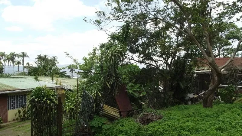 Land for sale inSan Rafael, Montes de Oca 13296, photo 8