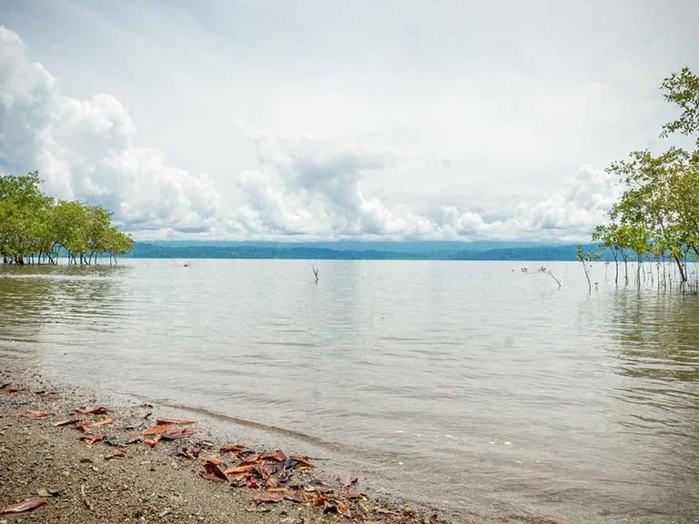 Titled Beach Property in the Osa, photo 10