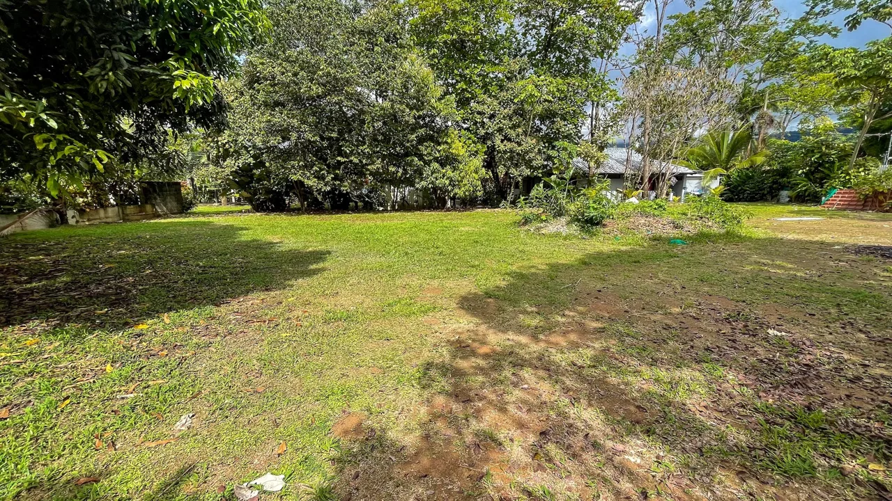 BUILDING PROPERTY A STEPS OF THE BEACH, IN BAHIA BALLENA – 0.30 ACRES, photo 11