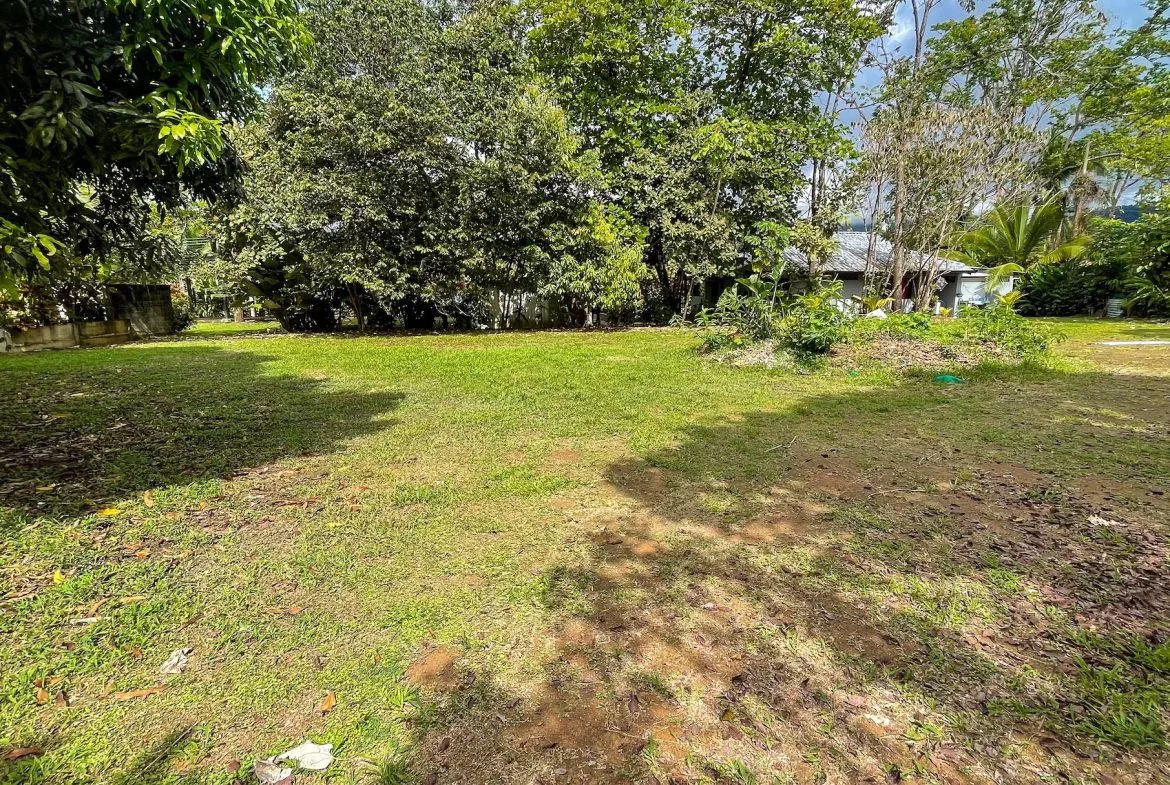 BUILDING PROPERTY A STEPS OF THE BEACH, IN BAHIA BALLENA – 0.30 ACRES, photo 12