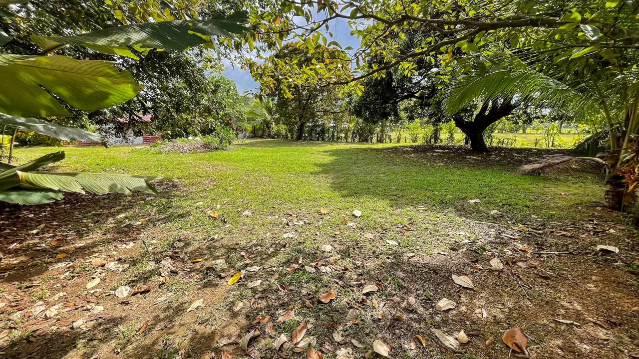 BUILDING PROPERTY A STEPS OF THE BEACH, IN BAHIA BALLENA – 0.30 ACRES, photo 13